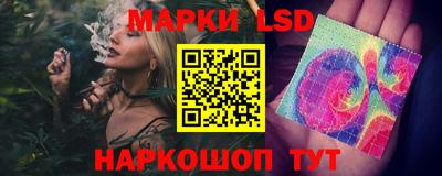 гидра Кандалакша