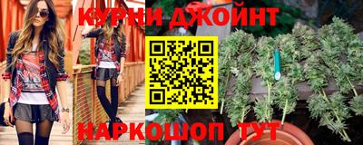 гидра Кандалакша