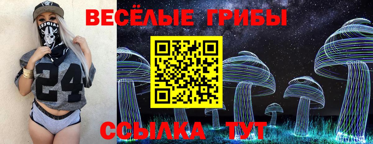 Галлюциногенные грибы Psilocybine cubensis  Вход с VPN  Балашов  Псилоцибиновые грибы ЛСД 