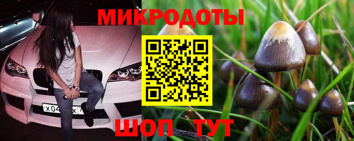 Галлюциногенные грибы MAGIC MUSHROOMS Балашов